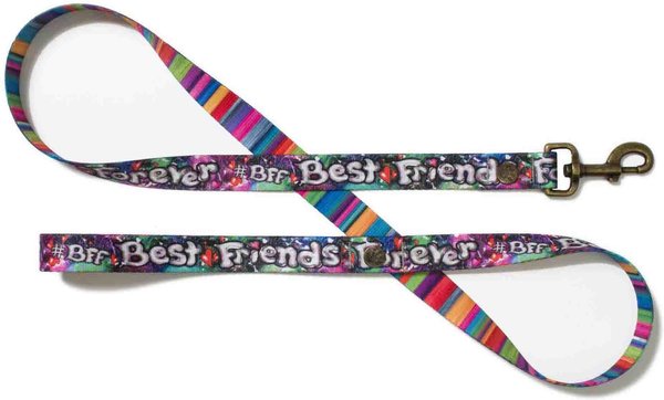 Merry Jane & Thor GangstaMutt Best Friends Forever Polyester Dog Leash, Large: 5-ft long, 1-in wide slide 1 of 6