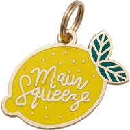 Two Tails Pet Company Main Squeeze Personalized Dog & Cat ID Tag
