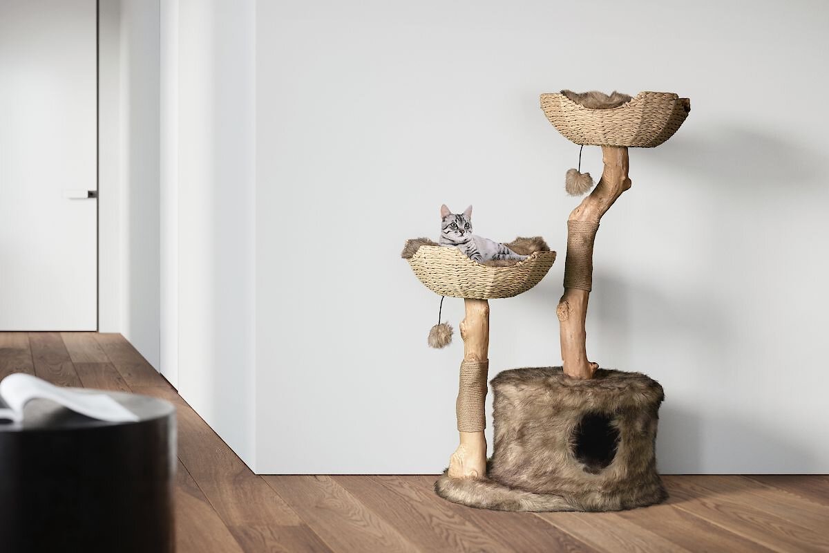 MAU LIFESTYLE Cento 46in Modern Wooden Cat Tree & Condo, Brown
