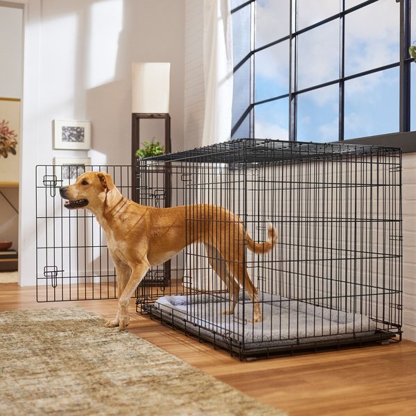 Frisco Heavy Duty Fold & Carry Double Door Collapsible Wire Dog Crate & Mat Kit, 48 inch slide 1 of 9