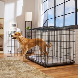 Frisco Heavy Duty Fold & Carry Double Door Collapsible Wire Dog Crate & Mat Kit, 48 inch
