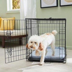 Frisco Fold & Carry Single Door Collapsible Wire Dog Crate & Mat Kit, 36 inch