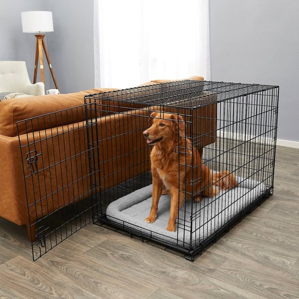 Frisco Fold & Carry Single Door Collapsible Wire Dog Crate & Mat Kit, 42 inch slide 1 of 9