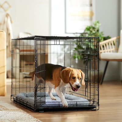 Frisco Fold & Carry Double Door Collapsible Wire Dog Crate & Mat Kit, slide 1 of 1