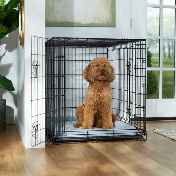 Frisco Fold & Carry Double Door Collapsible Wire Dog Crate & Mat Kit, 42 inch slide 1 of 9