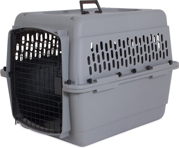 Aspen Pet Traditional Dog & Cat Carrier, Light Gray, 28-in slide 1 of 2