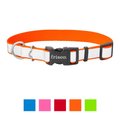 Frisco Solid Polyester Reflective Dog Collar, Orange, Medium: 14 to 20-in neck, 1-in wide