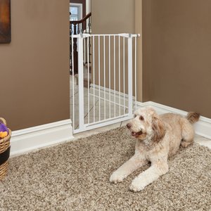 MidWest Glow in the Dark Dog & Cat Gate, White, 39-in