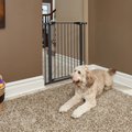 MidWest Glow in the Dark Dog & Cat Gate, Graphite, 39-in