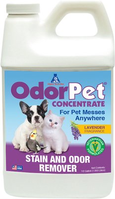 Alpha Tech Pet Inc. OdorPet Lavender Fragrance Stain & Pet Odor Remover, slide 1 of 1