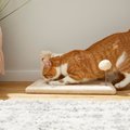 Frisco Sisal Cat Scratching Board and Post with Toy, Cream