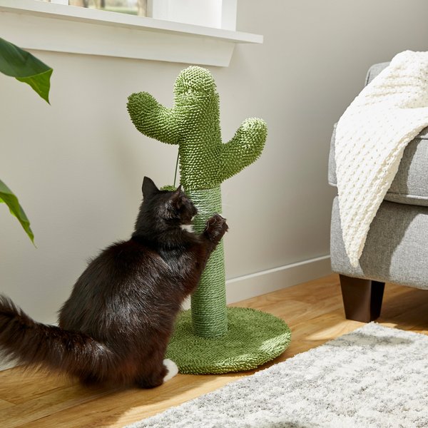 Frisco Cactus Cat Scratching Post, 22-in slide 1 of 6
