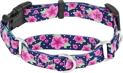 Frisco Patterned Polyester Martingale Dog Collar with Buckle, slide 1 of 1