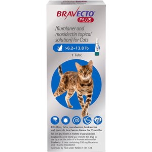 Bravecto Plus Topical Solution for Cats, >6.2-13.8 lbs, (Blue Box), 1 Dose (2-mos. supply)”></a><img loading=