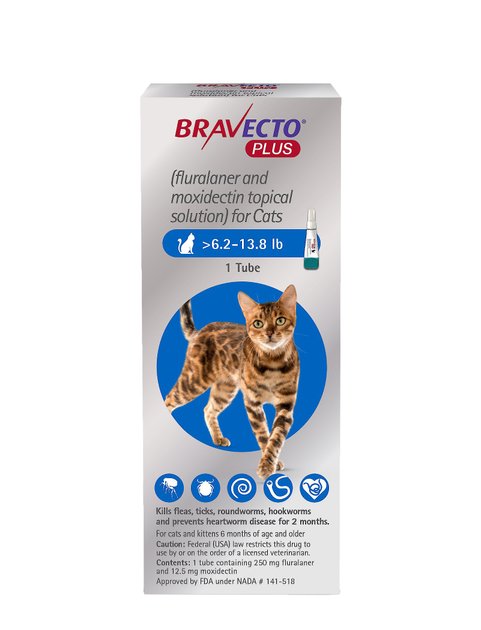 bravecto cats side effects