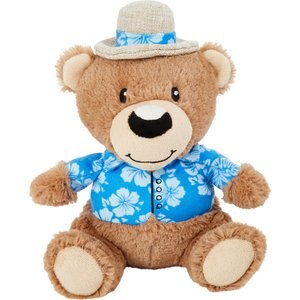 Frisco Summer Fun Plush Bear Squeaky Dog Toy