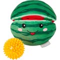 Frisco Summer Fun Plush and TPR 2-in-1 Watermelon Dog Toy