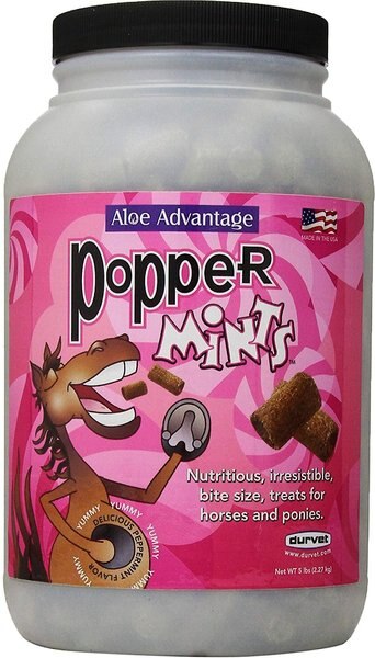 Durvet Popper Mints Horse Treats, 5-lb bottle slide 1 of 4