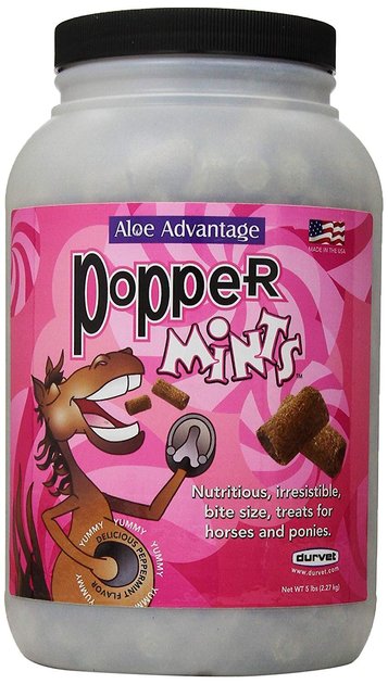 Durvet Popper Mints Horse Treats, 5-lb bottle