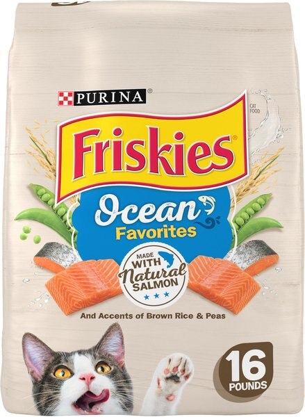 Friskies Ocean Favorites with Natural Salmon Dry Cat Food, 16-lb bag slide 1 of 10