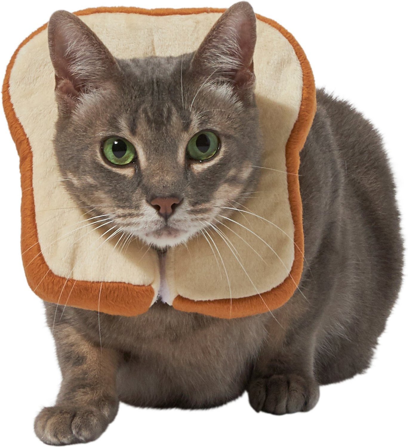 Frisco Bread Cat Costume, One Size By Frisco
