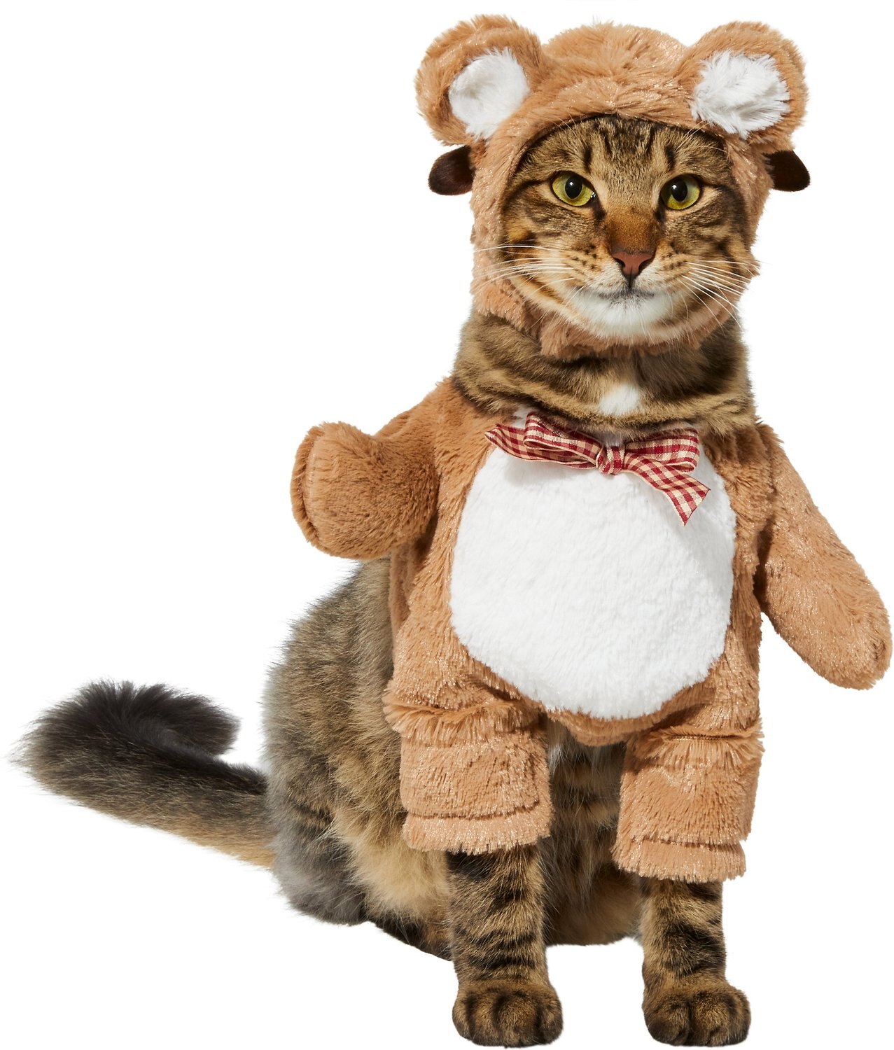 Frisco Front Walking Teddy Bear Dog & Cat Costume, X-Small
