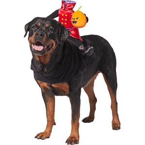 Headless Rider Dog Costume