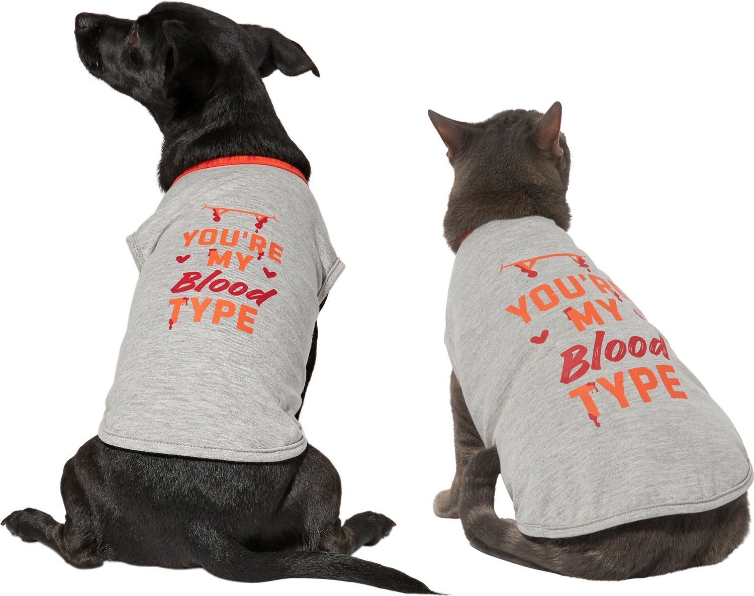 Frisco You're My Blood Type Dog & Cat Tshirt, Medium
