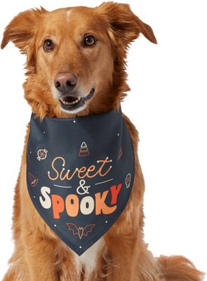 Frisco Sweet & Spooky Dog & Cat Bandana, slide 1 of 1