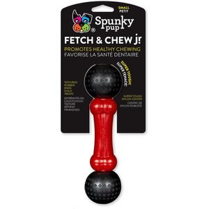 Spunky Pup Fetch & Chew Bone Small Tough Dog Chew Toy, Color Varies