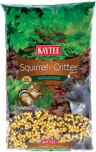 Kaytee Squirrel & Critter Blend Wild Bird Food, 10-lb bag slide 1 of 1