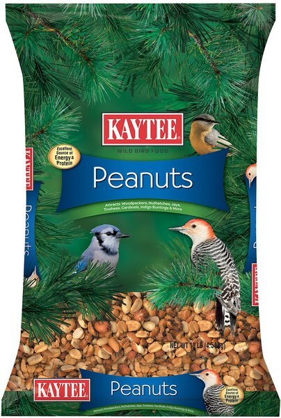 Kaytee Shelled Peanuts Wild Bird Food, 10-lb bag slide 1 of 1