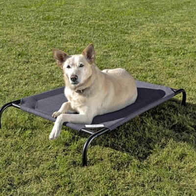 Coolaroo Steel-Framed Elevated Dog Bed, slide 1 of 1