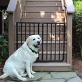 Cardinal Gates Outdoor Dog Gate, Black