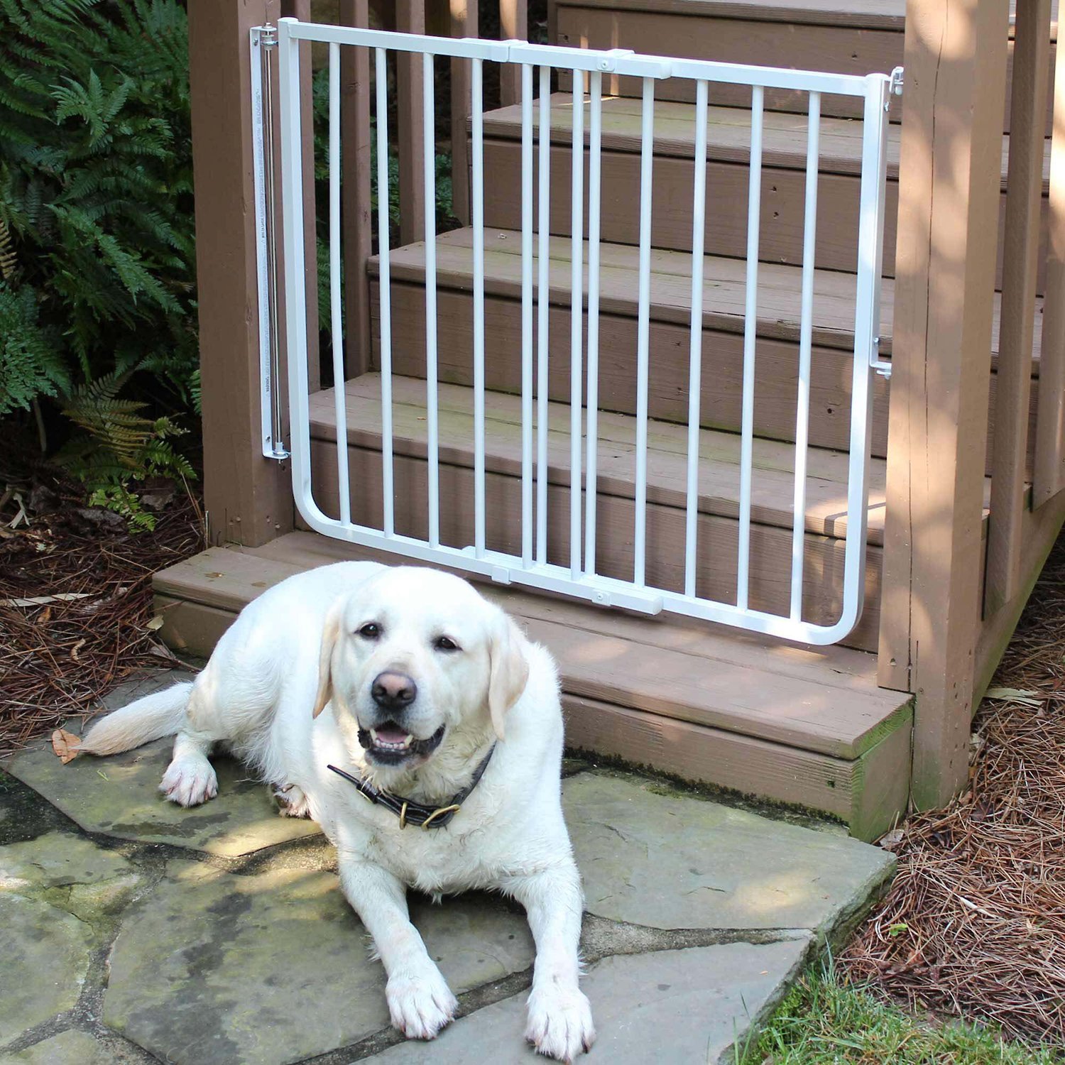 Cardinal Gates Outdoor Dog Gate White, Outdoor Dog Gate