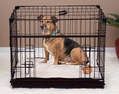 Lucky Dog Sliding Double Door Wire Dog Crate, slide 1 of 1