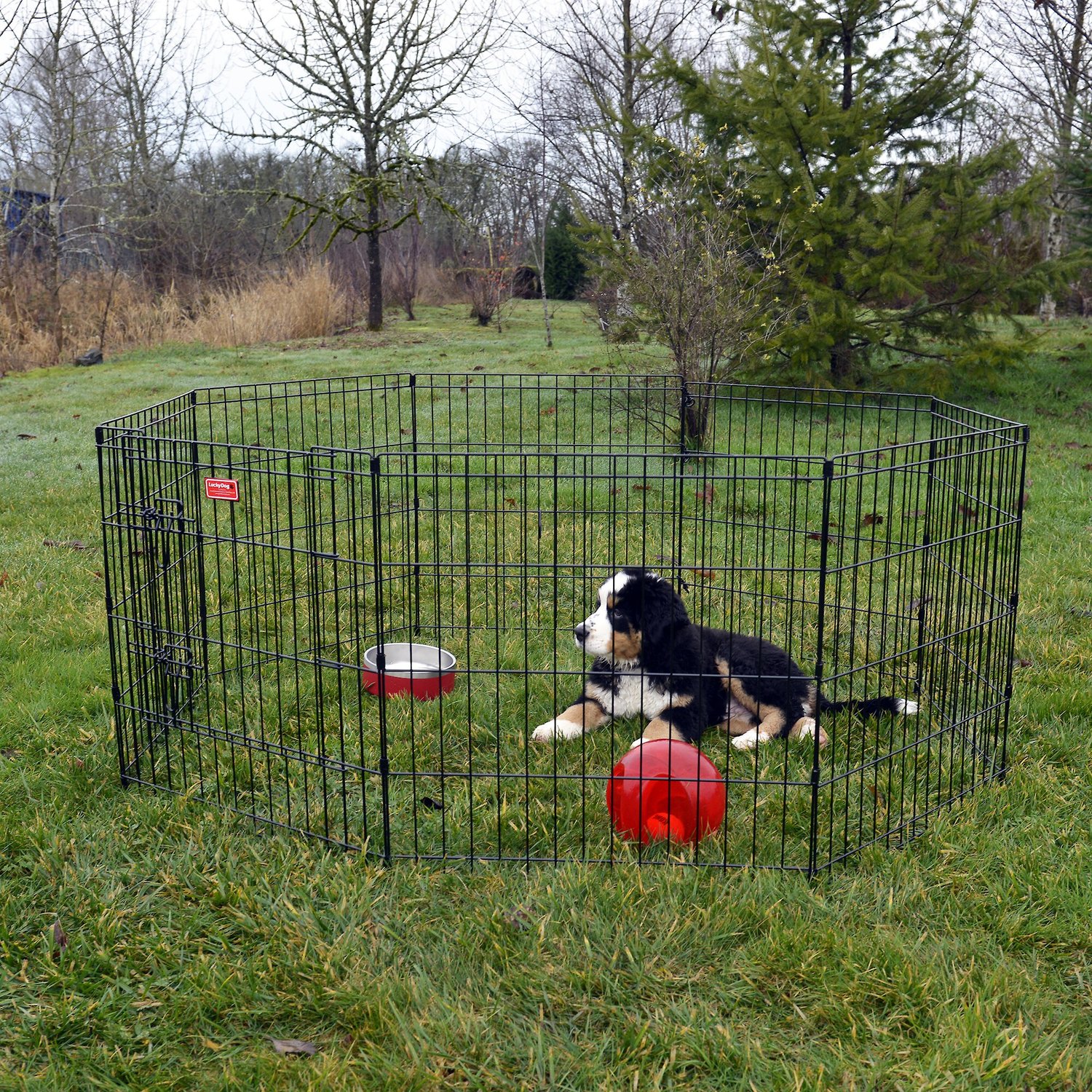wire dog pen