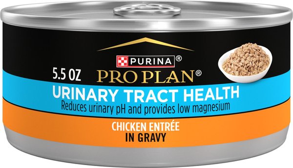 Purina Pro Plan Gravy Chicken Entrée Urinary Health Tract Cat Food, 5.5-oz can, case of 24 slide 1 of 9
