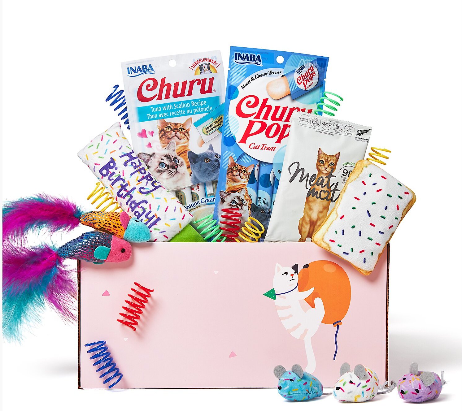 Goody Box Birthday Toys & Treats for Cats