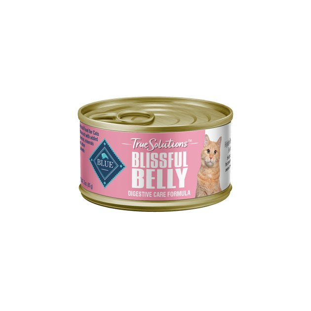 Support your cat's digestive care needs with Blissful Belly [Video