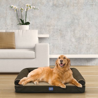 Dallas Manufacturing Sealy Ultra Plush Bolster Dog Bed, slide 1 of 1