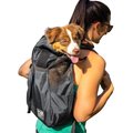 K9 Sport Sack Trainer Dog & Cat Carrier Backpack, Black, Medium