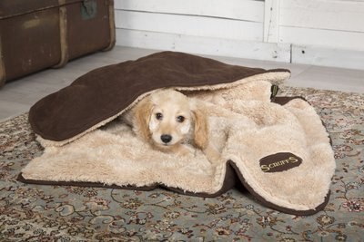 Scruffs Snuggle Blanket Dog Bed, slide 1 of 1