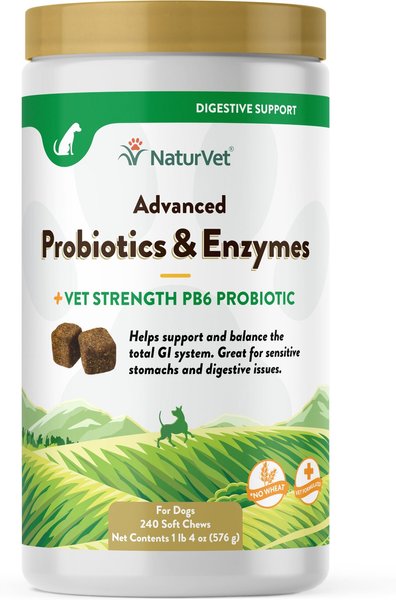 NaturVet Advanced Probiotics & Enzymes Plus Vet Strength PB6 Probiotic Soft Chews Digestive Supplement for Dogs, 240 count slide 1 of 2
