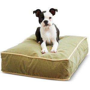 Happy Hounds Bailey Rectangle Pillow Dog Bed w/ Removable Cover, Moss, X-Small