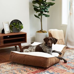Happy Hounds Bailey Rectangle Pillow Dog Bed w/ Removable Cover, Latte/Birch, Medium