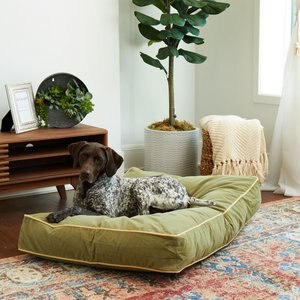 Happy Hounds Bailey Rectangle Pillow Dog Bed w/ Removable Cover, Moss, Medium