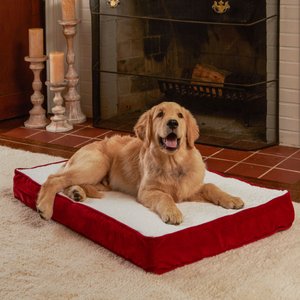 Happy Hounds Otis Orthopedic Pillow Dog Bed w/Removable Cover, Crimson, Small