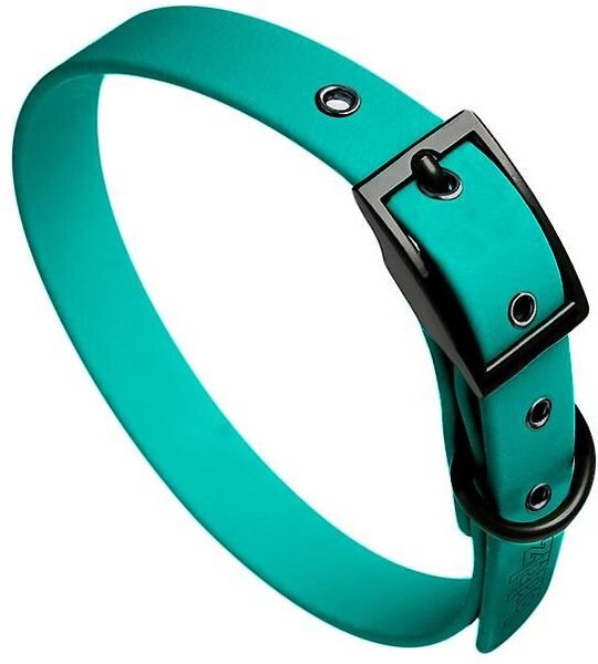 brklz Durable Dog Collar, Turquoise, Medium: 11 to 16-in neck, 3/4-in wide slide 1 of 3