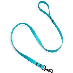 brklz Durable PVC Dog Leash, Baby Blue, Medium/Large: 4-ft long, 3/4-in wide